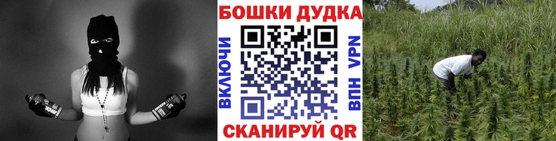Что такое Дигора Cocaine  Галлюциногенные грибы  Бутират  мега ссылка  Гашиш 