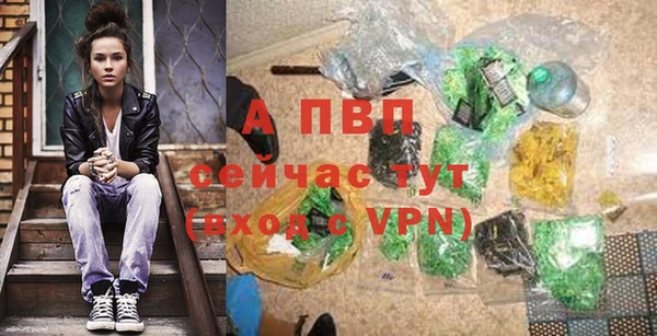 дмт Белокуриха