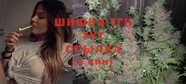 дмт Белокуриха