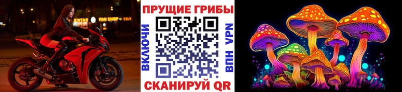 Псилоцибиновые грибы мухоморы  дарнет шоп  Дигора 